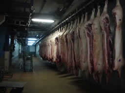 Мясо свинины в полутушах оптом Россия и Беларуссия